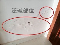 瓷磚反堿補救徹底解決方法？清理瓷磚的技巧？